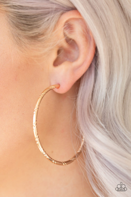 Paparazzi A Double Take - Gold Hoop Earrings - A Finishing Touch 
